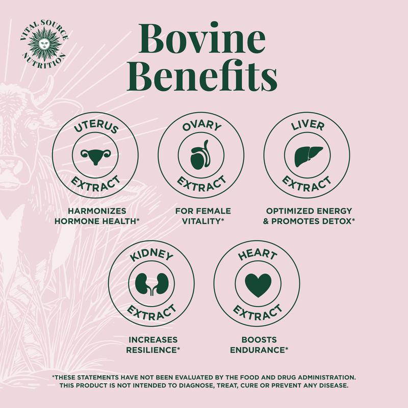 BiFi Primal Health Blend