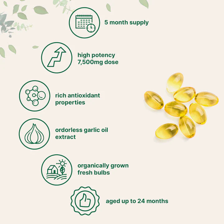 Aged Garlic Extract Softgels